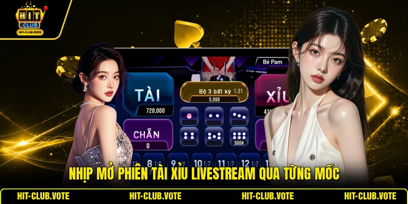 Nhịp mở phiên tài xỉu livestream qua từng mốc